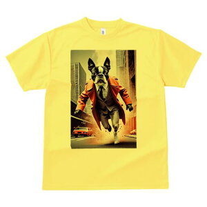 {XgeA TVc fB[X t@  t  vg JWA 킢 lԗp h ̃fUC ʔ X[c {XgeA R[g X 