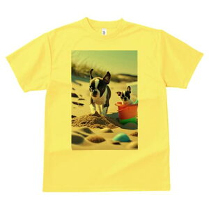 {XgeA TVc fB[X t@  t  vg JWA 킢 lԗp h ̃fUC ʔ l {XgeA  oPc C