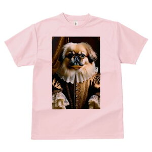 yLj[Y TVc fB[X t@  t  vg JWA 킢 lԗp h ̃fUC ʔ  yLj[Y [X  {^