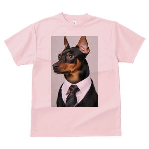 ~j`AsV[ TVc fB[X t@  t  vg JWA 킢 lԗp h ̃fUC ʔ X[c ~j`AsV[ lN^C CV