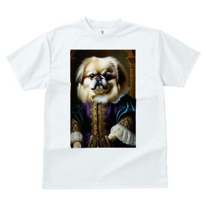 yLj[Y TVc fB[X t@  t  vg JWA 킢 lԗp h ̃fUC ʔ ё yLj[Y 