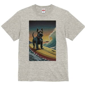 XReBbVeA TVc fB[X t@  t  vg JWA 킢 lԗp h ̃fUC ʔ T[tB XReBbVeA g C TO