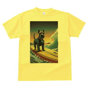 XReBbVeA TVc fB[X t@  t  vg JWA 킢 lԗp h ̃fUC ʔ T[tB XReBbVeA g C TO