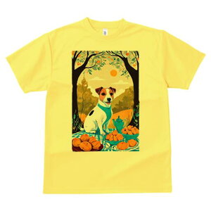 WbNbZeA TVc fB[X t@  t  vg JWA 킢 lԗp h ̃fUC ʔ eB[|bg WbNbZeA َq 