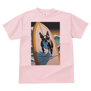 {XgeA TVc fB[X t@  t  vg JWA 킢 lԗp h ̃fUC ʔ T[tB {XgeA g C TOX