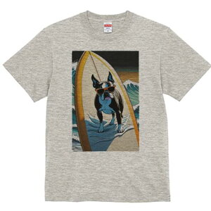 {XgeA TVc fB[X t@  t  vg JWA 킢 lԗp h ̃fUC ʔ T[tB {XgeA g C TOX