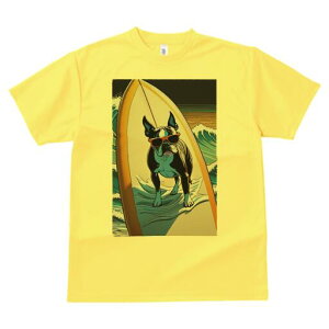 {XgeA TVc fB[X t@  t  vg JWA 킢 lԗp h ̃fUC ʔ T[tB {XgeA g C TOX