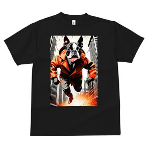 {XgeA TVc fB[X t@  t  vg JWA 킢 lԗp h ̃fUC ʔ R[g {XgeA X[c  s