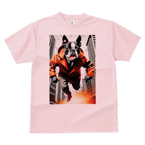 {XgeA TVc fB[X t@  t  vg JWA 킢 lԗp h ̃fUC ʔ R[g {XgeA X[c  s