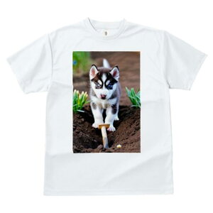 nXL[ TVc fB[X t@  t  vg JWA 킢 lԗp h ̃fUC ʔ  nXL[ y Vx 