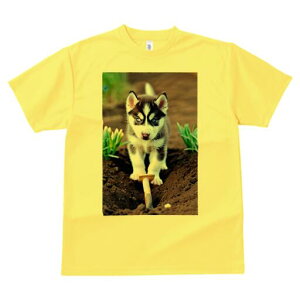 nXL[ TVc fB[X t@  t  vg JWA 킢 lԗp h ̃fUC ʔ  nXL[ y Vx 