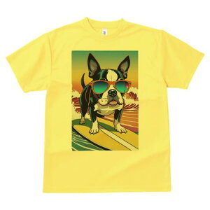 {XgeA TVc Y LbY t@  t  vg JWA 킢 lԗp h ̃fUC ʔ TOX {XgeA T[tB g 