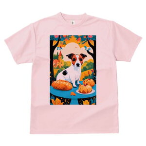 WbNbZeA TVc fB[X t@  t  vg JWA 킢 lԗp h ̃fUC ʔ p WbNbZeA P[L i 