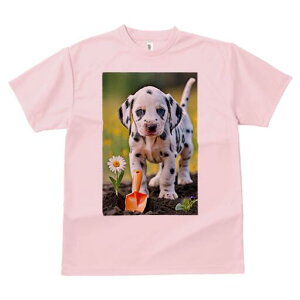 _VA TVc fB[X t@  t  vg JWA 킢 lԗp h ̃fUC ʔ  _VA fCW[ Vx 