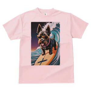 PA[eA TVc fB[X t@  t  vg JWA 킢 lԗp h ̃fUC ʔ g PA[eA T[t{[h TOX