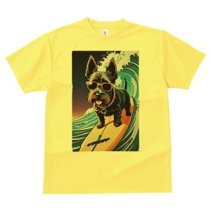 PA[eA TVc fB[X t@  t  vg JWA 킢 lԗp h ̃fUC ʔ g PA[eA T[t{[h TOX