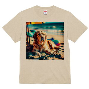 S[fgo[ TVc fB[X t@  t  vg JWA 킢 lԗp h ̃fUC ʔ r[` S[fgo[ C  