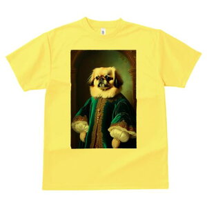 yLj[Y TVc fB[X t@  t  vg JWA 킢 lԗp h ̃fUC ʔ ё yLj[Y  ߑ 