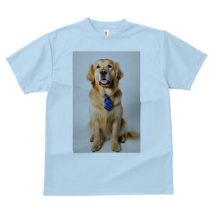 S[fgo[ TVc fB[X t@  t  vg JWA 킢 lԗp h ̃fUC ʔ lN^C S[fgo[