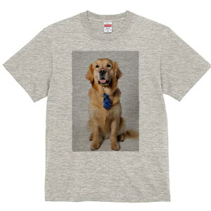 S[fgo[ TVc fB[X t@  t  vg JWA 킢 lԗp h ̃fUC ʔ lN^C S[fgo[