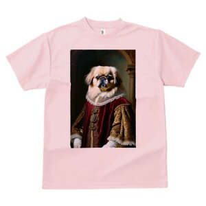 yLj[Y TVc fB[X t@  t  vg JWA 킢 lԗp h ̃fUC ʔ ё yLj[Y  ߑ lTX