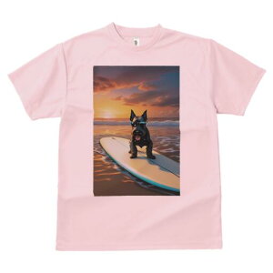 XReBbVeA TVc fB[X t@  t  vg JWA 킢 lԗp h ̃fUC ʔ T[tB XReBbVeA C [Ă r[