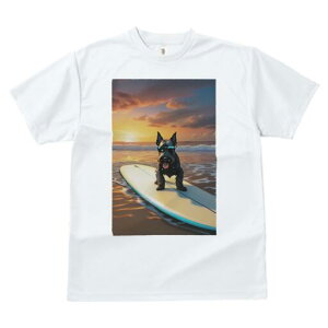 XReBbVeA TVc fB[X t@  t  vg JWA 킢 lԗp h ̃fUC ʔ T[tB XReBbVeA C [Ă r[