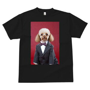 gCv[h TVc fB[X t@  t  vg JWA 킢 lԗp h ̃fUC ʔ X[c gCv[h lN^C