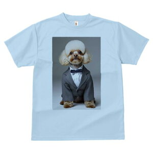 gCv[h TVc fB[X t@  t  vg JWA 킢 lԗp h ̃fUC ʔ X[c gCv[h lN^C tH[}