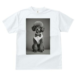 v[h TVc fB[X t@  t  vg JWA 킢 lԗp h ̃fUC ʔ lN^C v[h ዾ Vc