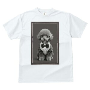 gCv[h TVc fB[X t@  t  vg JWA 킢 lԗp h ̃fUC ʔ lN^C gCv[h Kl tH[}