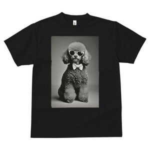 v[h TVc fB[X t@  t  vg JWA 킢 lԗp h ̃fUC ʔ TOX v[h lN^C  mN