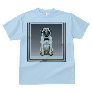 pO TVc fB[X t@  t  vg JWA 킢 lԗp h ̃fUC ʔ lN^C pO Kl