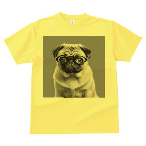 pO TVc fB[X t@  t  vg JWA 킢 lԗp h ̃fUC ʔ Kl pO 