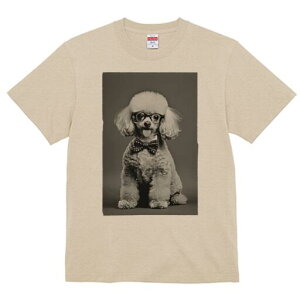 gCv[h TVc fB[X t@  t  vg JWA 킢 lԗp h ̃fUC ʔ lN^C gCv[h ዾ