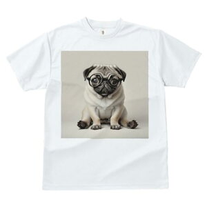 pO TVc fB[X t@  t  vg JWA 킢 lԗp h ̃fUC ʔ Kl pO