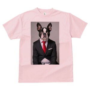 {XgeA TVc fB[X t@  t  vg JWA 킢 lԗp h ̃fUC ʔ X[c {XgeA lN^C