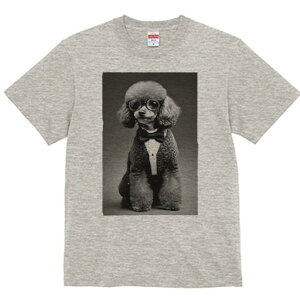 v[h TVc fB[X t@  t  vg JWA 킢 lԗp h ̃fUC ʔ lN^C v[h ዾ