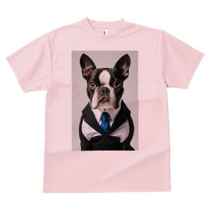 {XgeA TVc fB[X t@  t  vg JWA 킢 lԗp h ̃fUC ʔ X[c {XgeA lN^C Vc