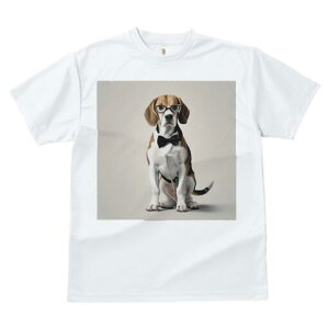 r[O TVc fB[X t@  t  vg JWA 킢 lԗp h ̃fUC ʔ Kl r[O lN^C