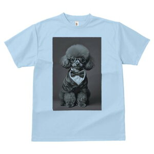 gCv[h TVc fB[X t@  t  vg JWA 킢 lԗp h ̃fUC ʔ lN^C gCv[h X[c ዾ