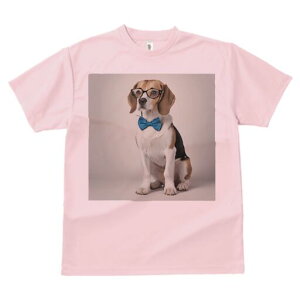 r[O TVc fB[X t@  t  vg JWA 킢 lԗp h ̃fUC ʔ Kl r[O lN^C