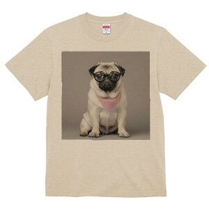 pO TVc fB[X t@  t  vg JWA 킢 lԗp h ̃fUC ʔ Kl pO o_i