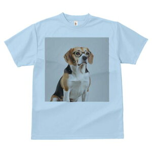 r[O TVc fB[X t@  t  vg JWA 킢 lԗp h ̃fUC ʔ Kl r[O