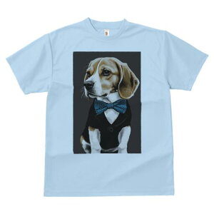 r[O TVc fB[X t@  t  vg JWA 킢 lԗp h ̃fUC ʔ lN^C r[O X[c