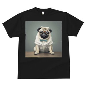 pO TVc fB[X t@  t  vg JWA 킢 lԗp h ̃fUC ʔ Kl pO lN^C Vc