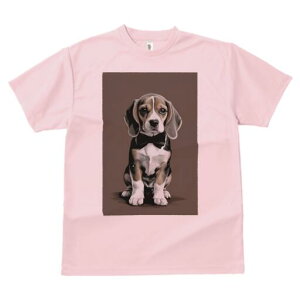 r[O TVc fB[X t@  t  vg JWA 킢 lԗp h ̃fUC ʔ lN^C r[O