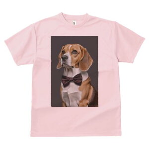 r[O TVc fB[X t@  t  vg JWA 킢 lԗp h ̃fUC ʔ lN^C r[O