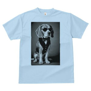 r[O TVc fB[X t@  t  vg JWA 킢 lԗp h ̃fUC ʔ TOX r[O lN^C xXg