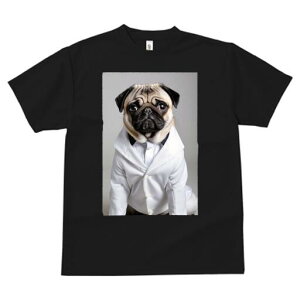 pO TVc fB[X t@  t  vg JWA 킢 lԗp h ̃fUC ʔ X[c pO 